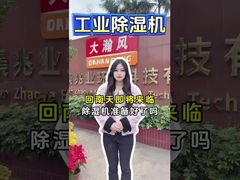 Industrieel ontvochtigingsmiddel voor het efficiënt verwijderen van vocht Hou de ruimte koel en droog